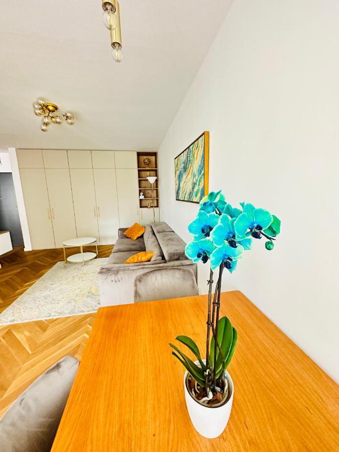 Bel Dom - The Central, Spacious 2 Rooms Luxury Apartment 클루지나포카 외부 사진
